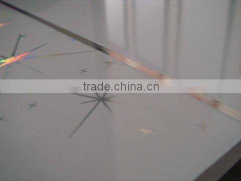 Eco-friendly glossy shiny interior wall panels