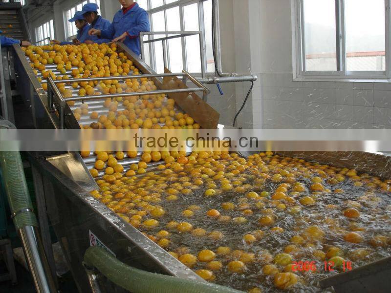 citrus processing line for produce orange juice