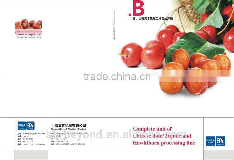 Jujube(Dates) Fruit Juice processing line