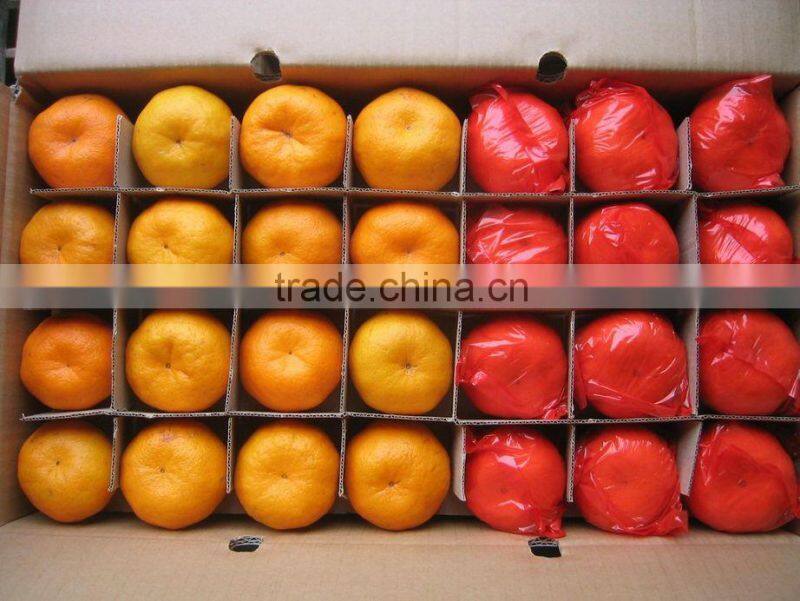 Fresh Baby Mandarin Orange Citrus Fruits