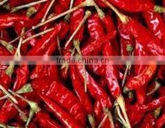 Chinese Dried Chili/chili peppers,American Red Chili