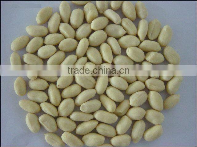 BLANCHED PEANUT 80/90