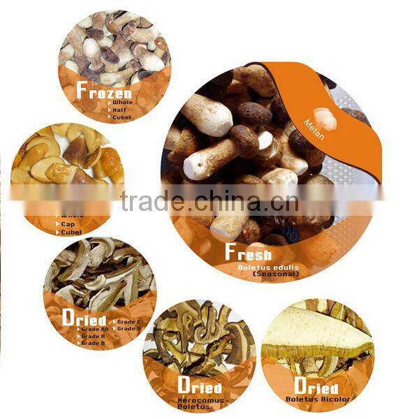 Dried sliced porcino, Boletus Edulis