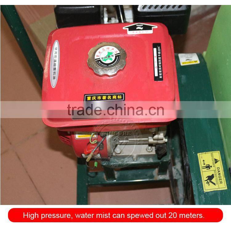 Convenient ,save manpower ,high presure disinfection sprayer (for gasoline)