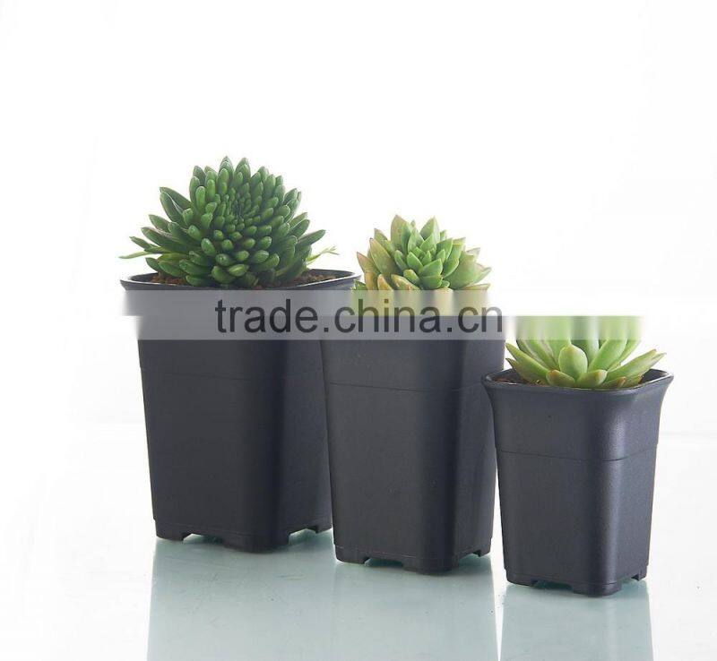 Square small black square succulent plants plastic flowerpot seeding pot