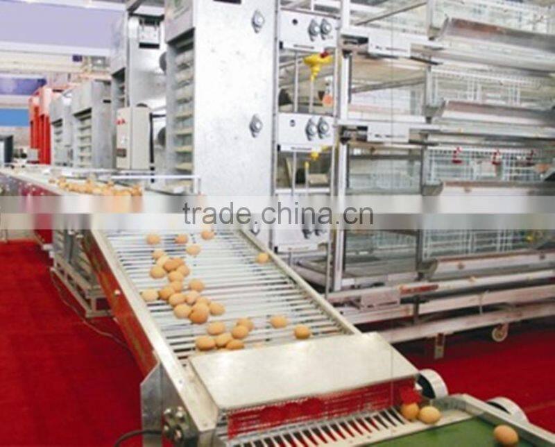 chicken egg collecting machine for hot sale