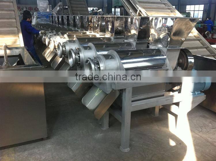 Neweek store use stainless steel continuous screw vegetable juice presser