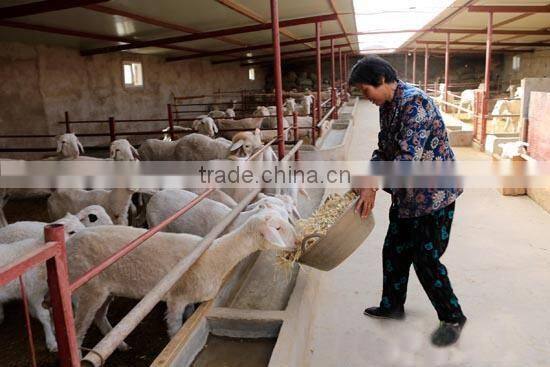 Professional grass chopper machine for animals feed