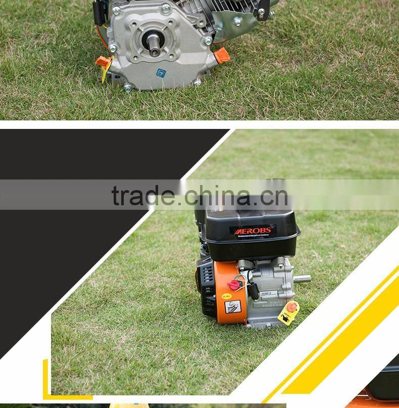 BS168F/P for transformers Chongqing CHINA Portable Air-cooled 4 Stroke OHV Single Cylinder Mini Gasoline Jet Engine