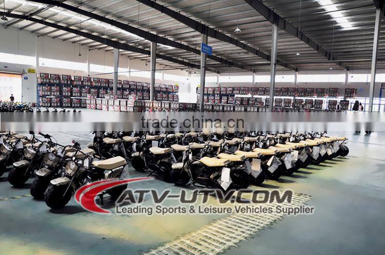 80CC Mini Motor with EPA