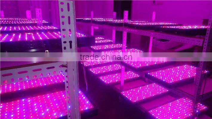 2016 New Reflector Design LED 480W light Adjustable customizable grow light 5W LED COB chip