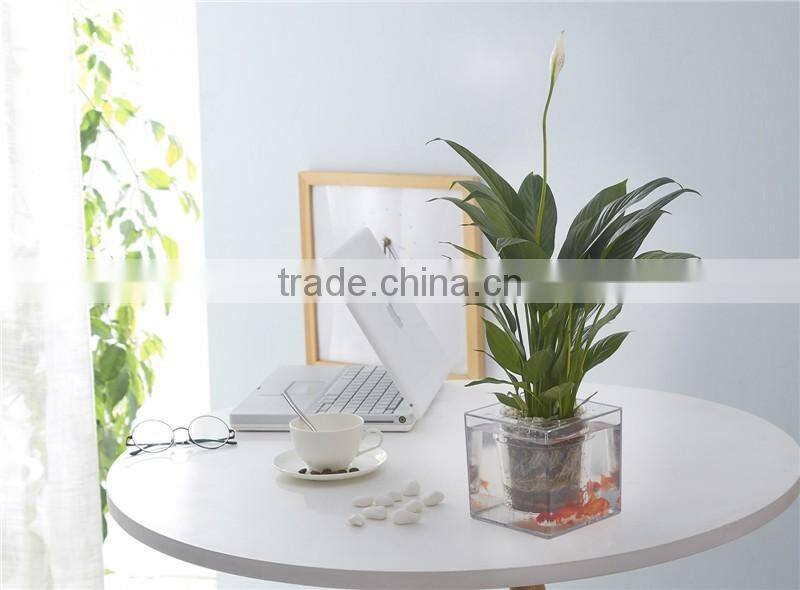Round Clear Plastic Orchid Pot