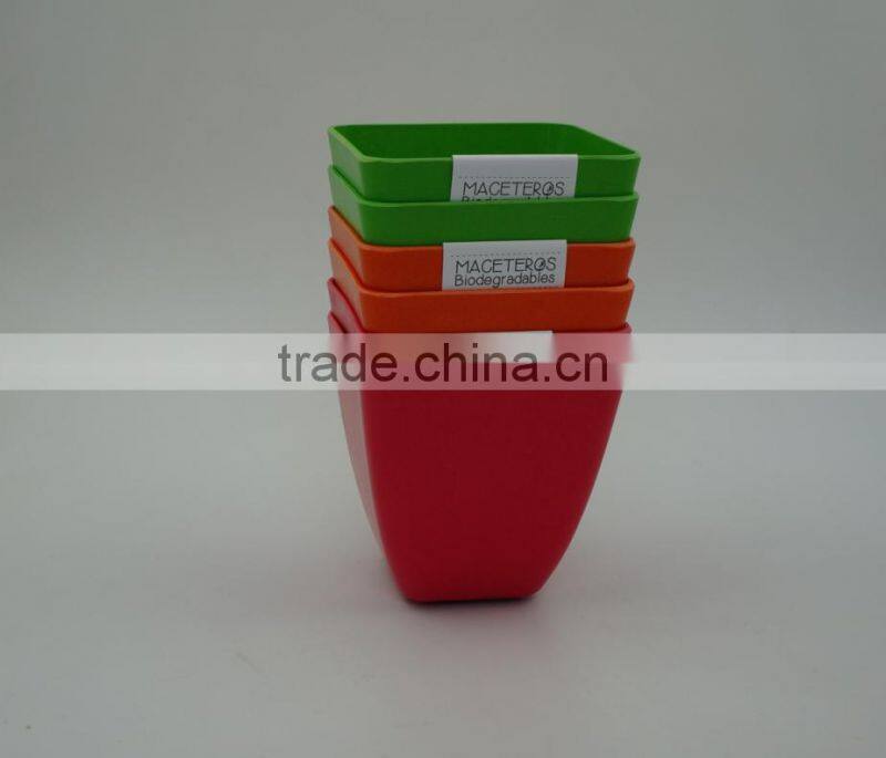 Biodegradable bamboo mini plant pot and flower pot