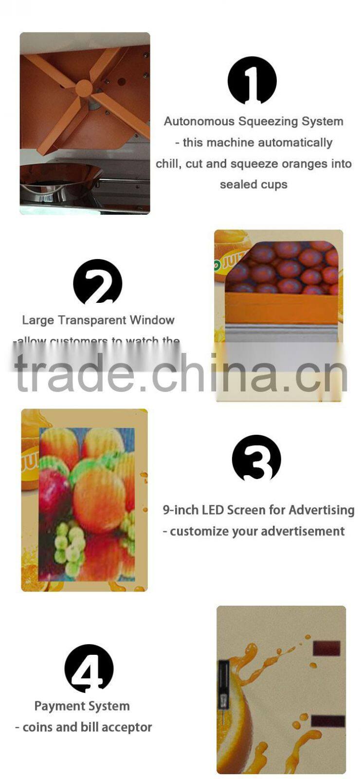 Electric Juicer for Oranges Juice