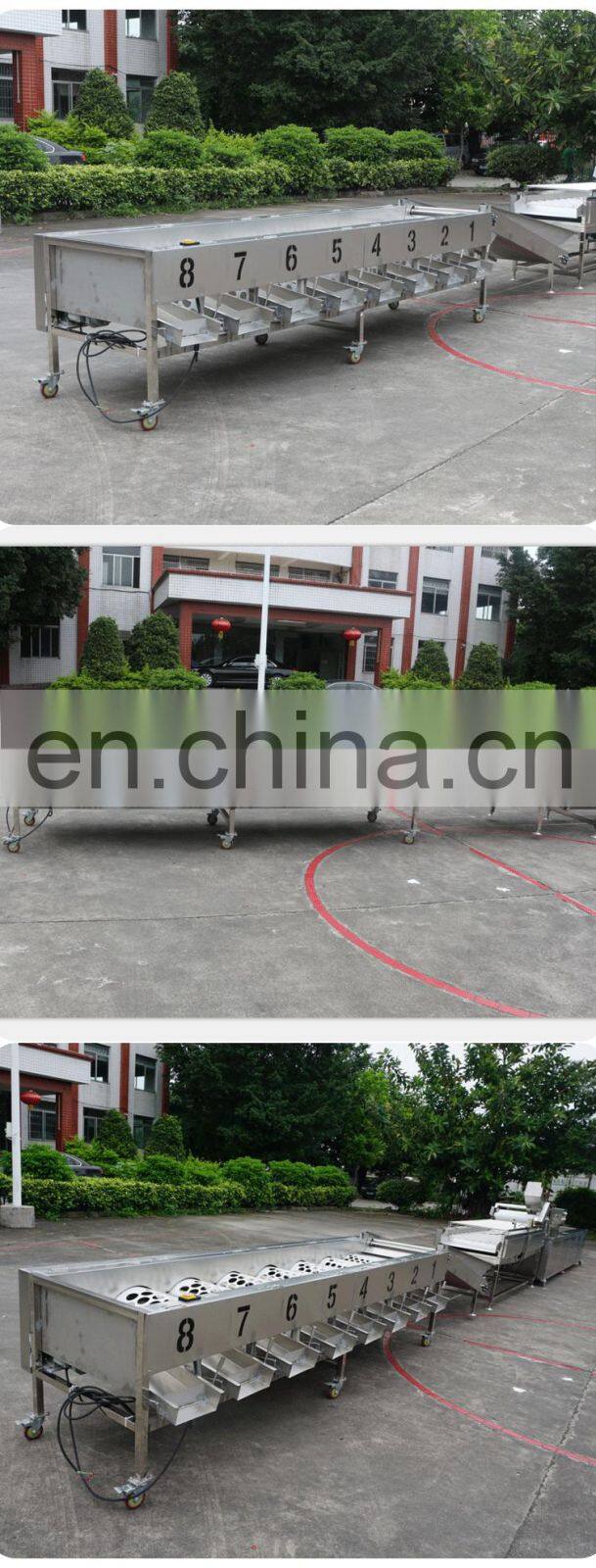 High efficient orange grader apple sorting machine mango sorting machine for sale