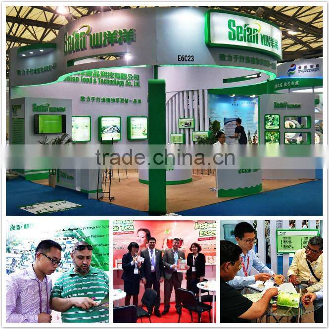 High Quality Matcha Green Tea Powder