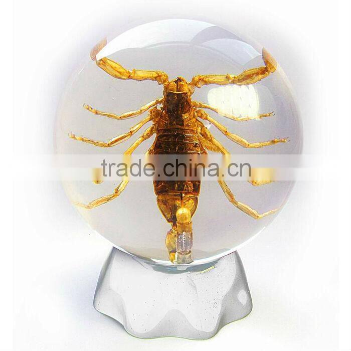 6.0 cm real resin acrylic marble ball with bugs