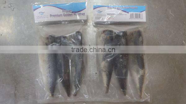 100% net weight Frozen mackerel
