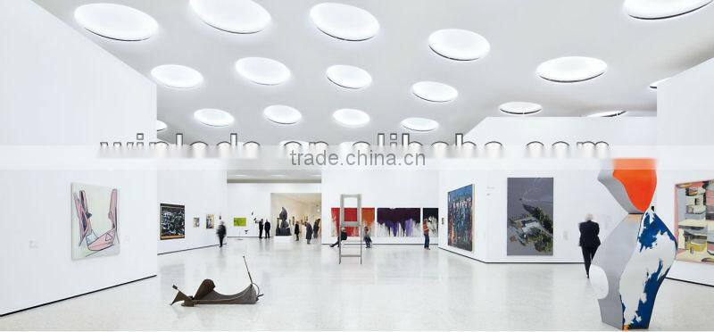 8 inch led downlight dimmable 24W 100-240VAC