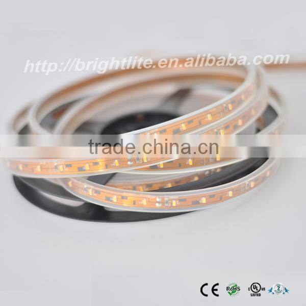3014 Waterproof ip68 Warm White 60led UL certificate mini led strip light
