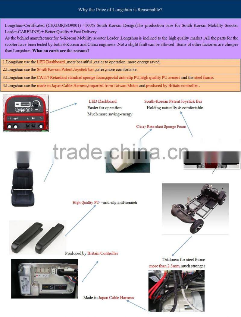 Large Size Electric Scooter with Canopy for Outdoor Use
