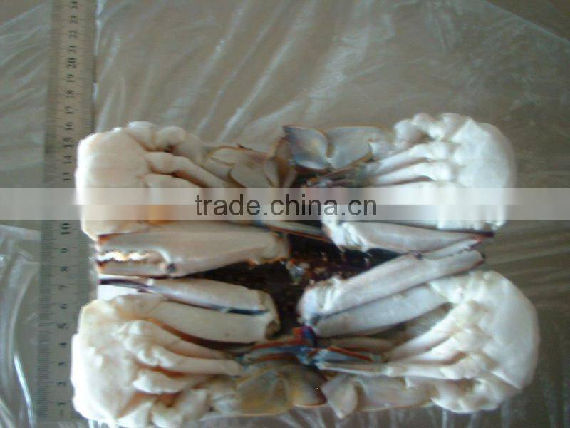 best sea frozen snow crab legs