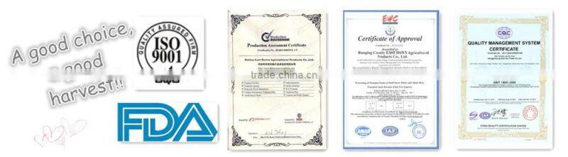 red watermelon seed wholesalers china