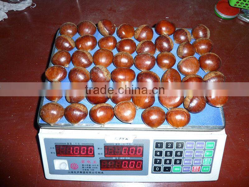 price chestnuts,health food,buy chestnuts