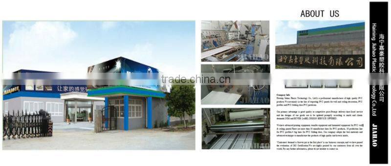 Convenient PVC Hotel Door/PVC glass folding door