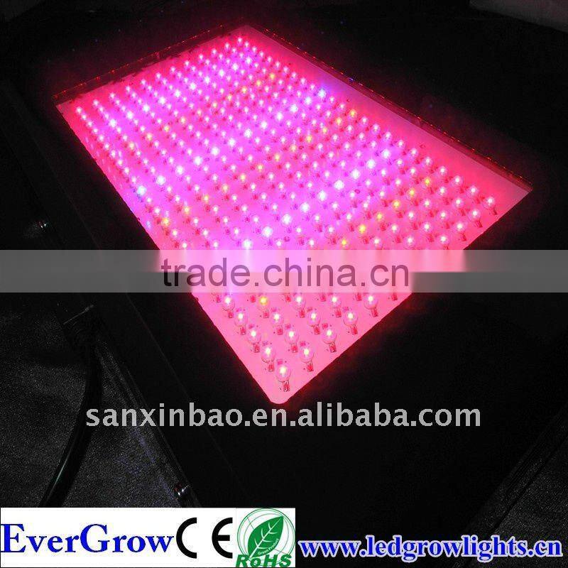 Shenzhen high quality cheap high power 5w Led grow Lights