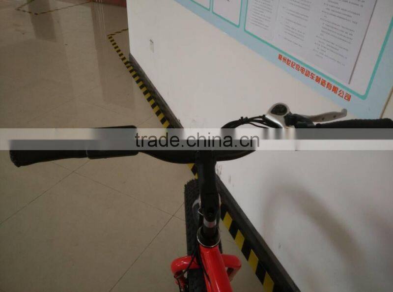Rear wheel motor mountain electric bike chinese fat tire bike