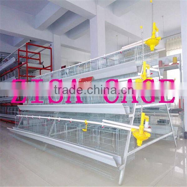 china zisa factory mainly produce Poultry chicken layer cage farm equipments cheap price