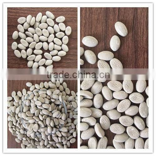 Anti Moisture Masterbatch