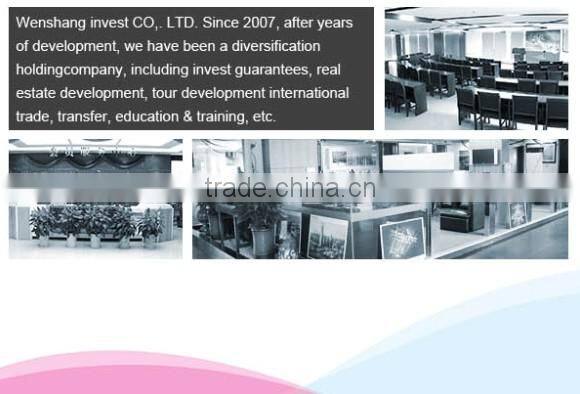 Wholesale fashion office lady chiffon hijabs square scarf