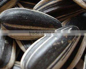 Chinese sunflower seeds by roasted with papper bag