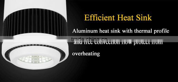 Surface mounted led downlight for restaurant Gallery Lobby