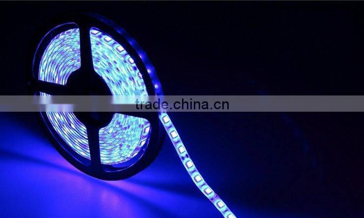 DC12V 24V SMD 5050 60leds/m IP66 Waterproof swimming pool led strip lighting