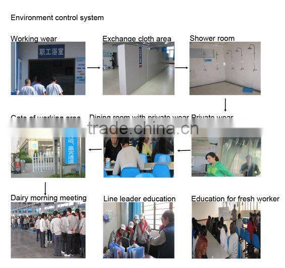 maintenance free motorcycle battery YT12A-BS