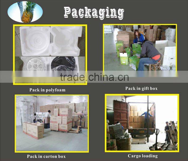 Slow juicer-2014 citrus juicer