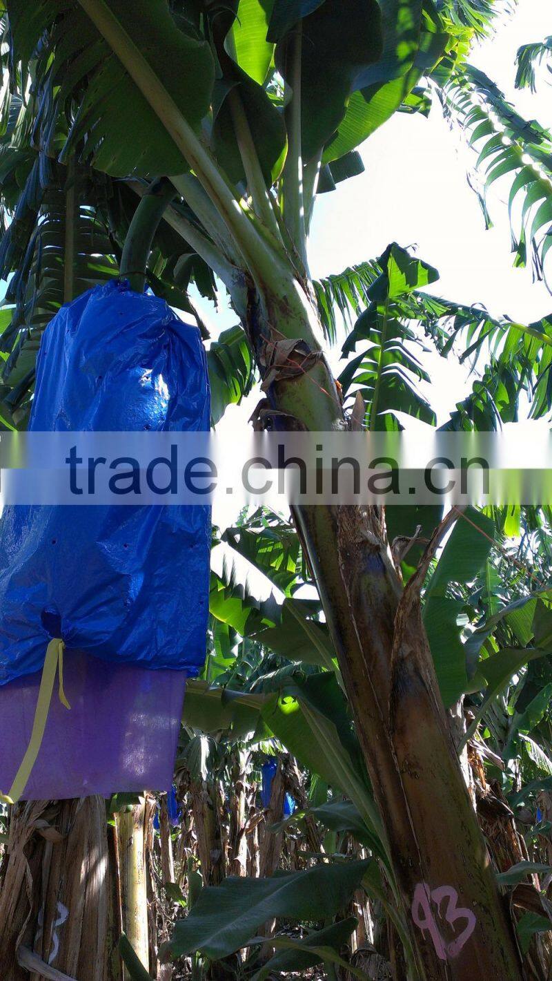 Bolsa de Proteccion Para el Banano