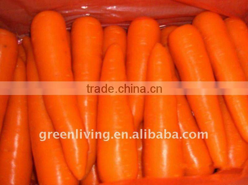 AD carrot/ dehydrated vegetable