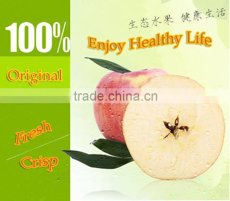 China supplier of Fresh red delicious bulk fresh apples Hanfu apple products