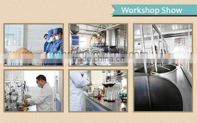 The blanched bitter apricot kernels/(GUANGBEI Type) made in china.