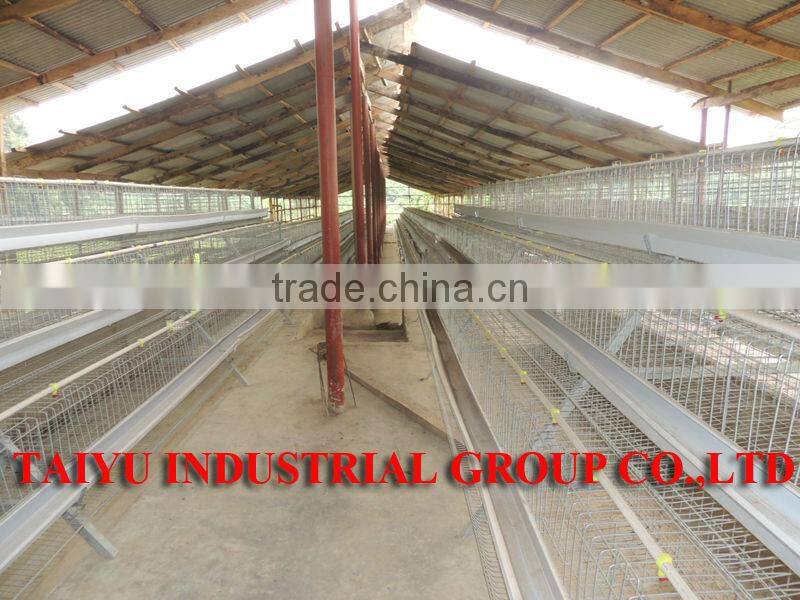 TAIYU stainless steel automatic chicken nipple drinker