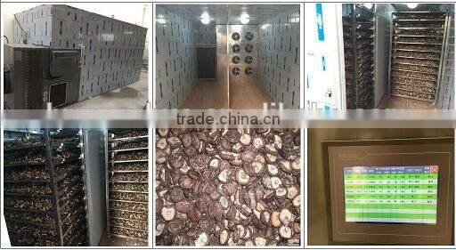 2015 high quality stainless steel no pullution mushroom drying machine