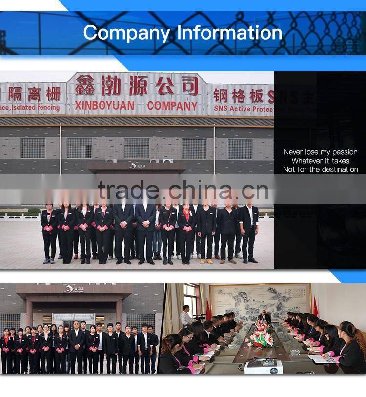 Wholesale Anping Factory Cheap Price Galvanized Welded PVC Coated Chain Link Metal Wire Woven Netting