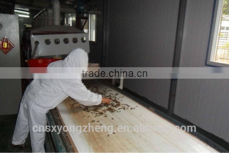 Microwave Dried Locusts High quality Bird& Fish Food