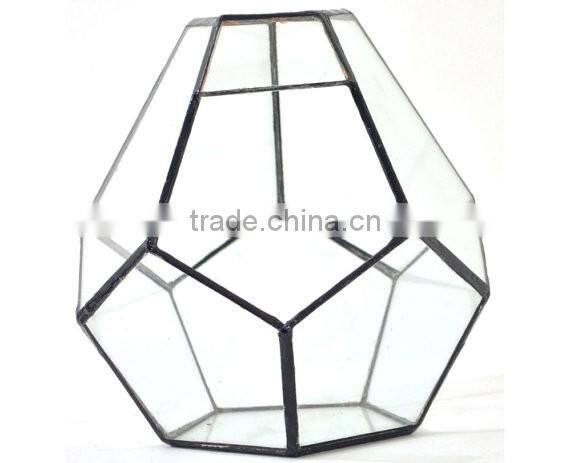 Stretched Dodecahedron 3 sizes Geometric Fruit Glass Terrarium