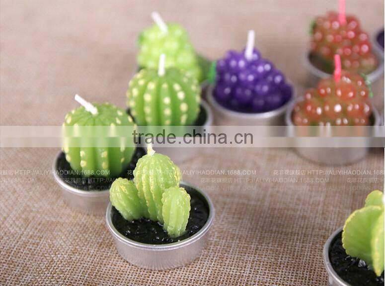 Cactus and Grape Plant Birthday Scented Candle