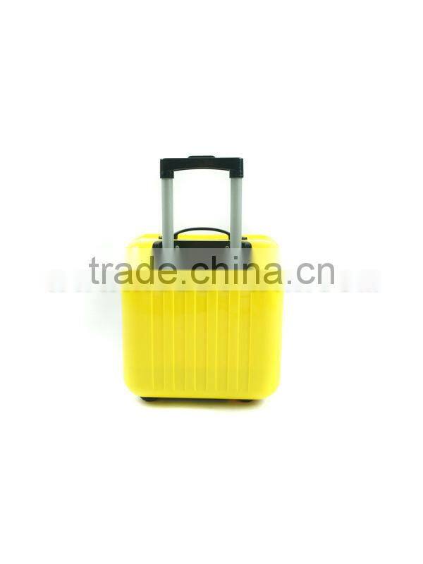 2013 New suitcase powerful rc car gasoline rc car